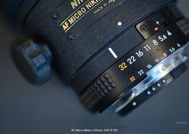 Nikon AF Micro-Nikkor 200mm f/4D IF-ED Review | Article | Junaed