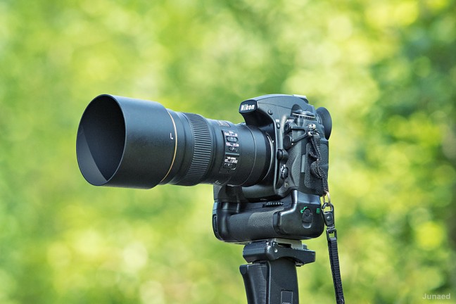Nikon AF-S Nikkor 300mm f/4E PF ED VR Lens Review | Article | Junaed