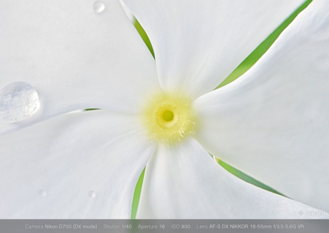 convert-kit-lens-to-macro-lens-01-648x459