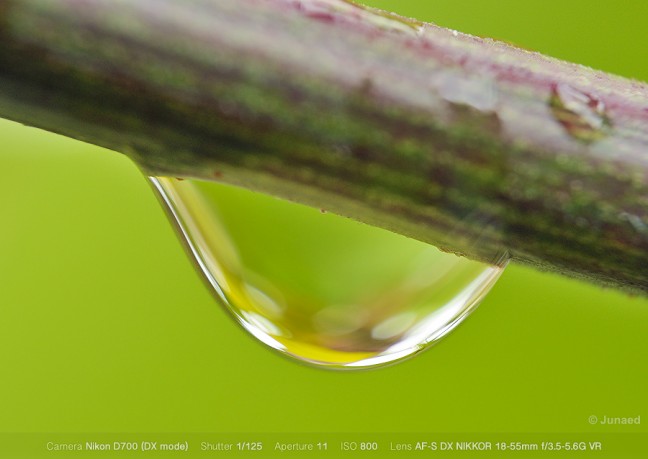 how-to-convert-18-55-lens-to-macro-01-648x459