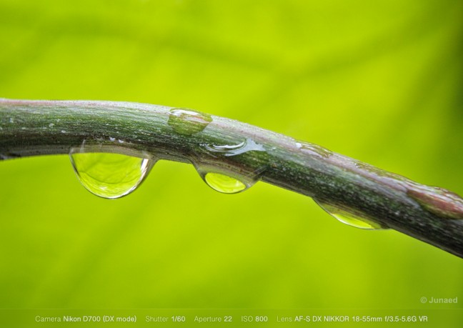 how-to-convert-18-55-lens-to-macro-03-648x459