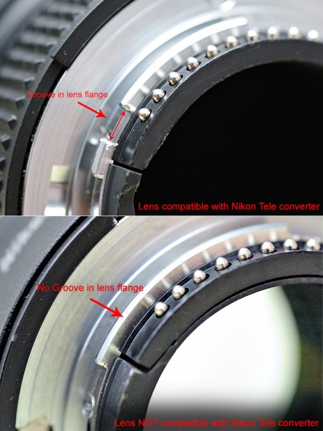 Lens-compatible--465x620