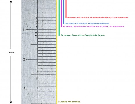 Macro-calculation-465x357