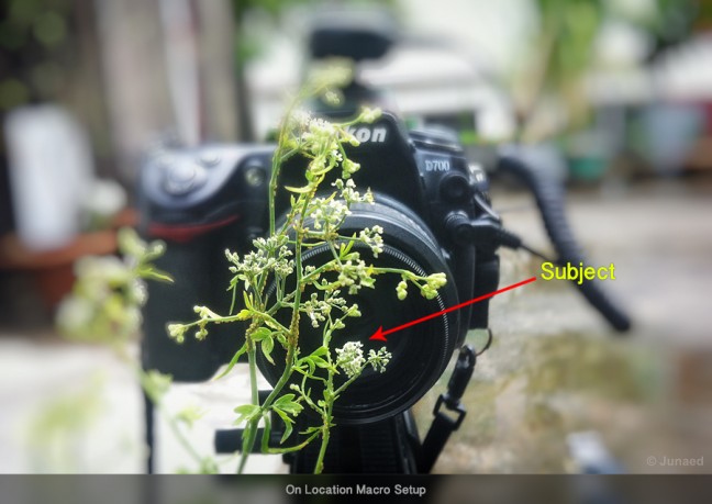On-Location-Macro-Setup-02-648x459