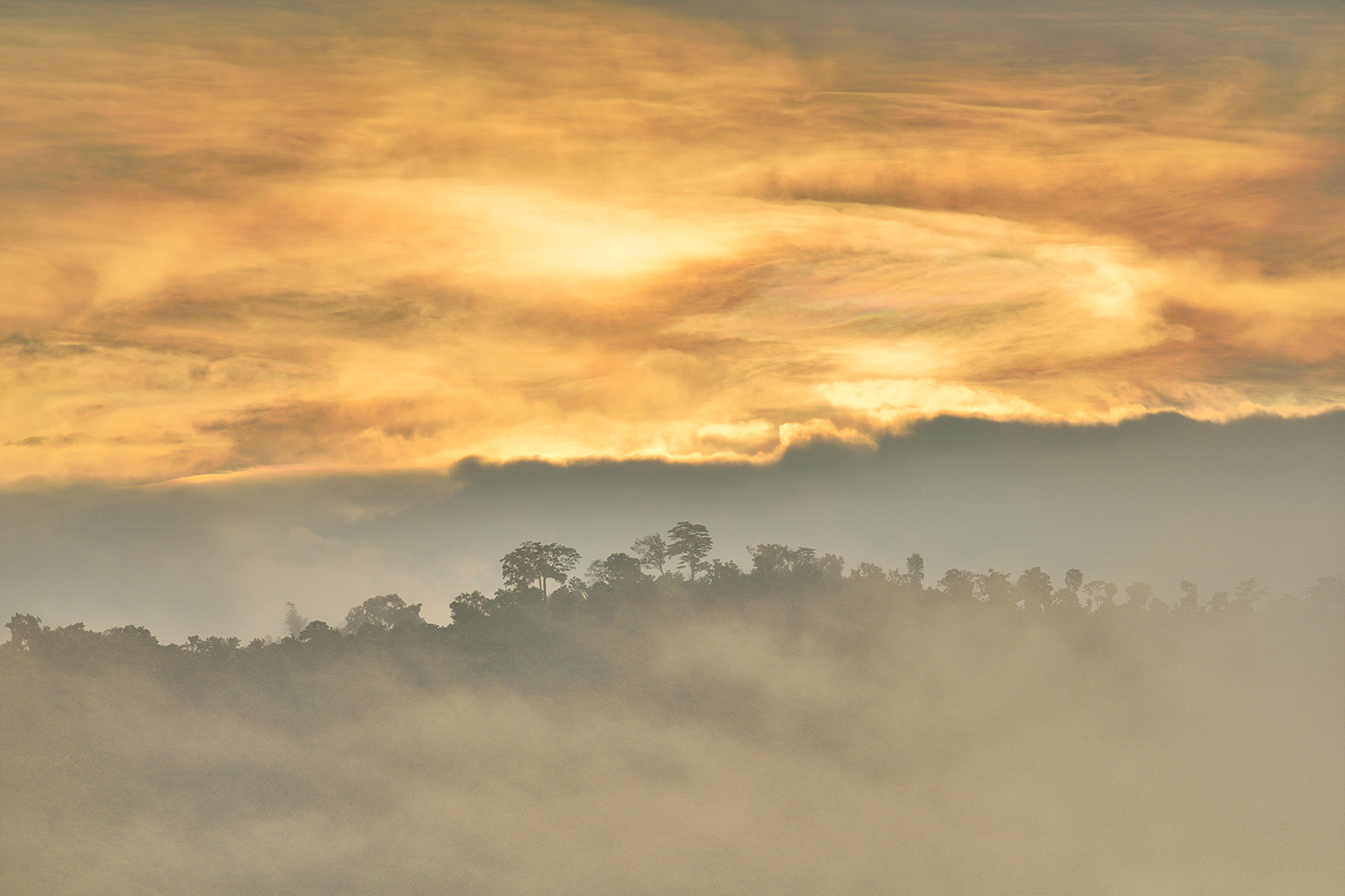 02  20190921_0610_JUN_0921_1500pix