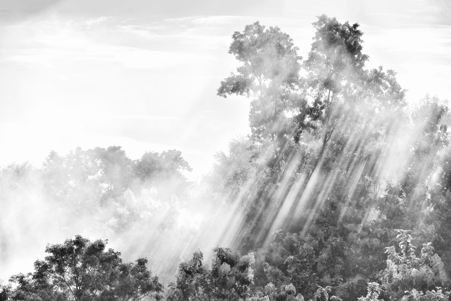 03  20190920_0750_DSC_3119_1500pix2