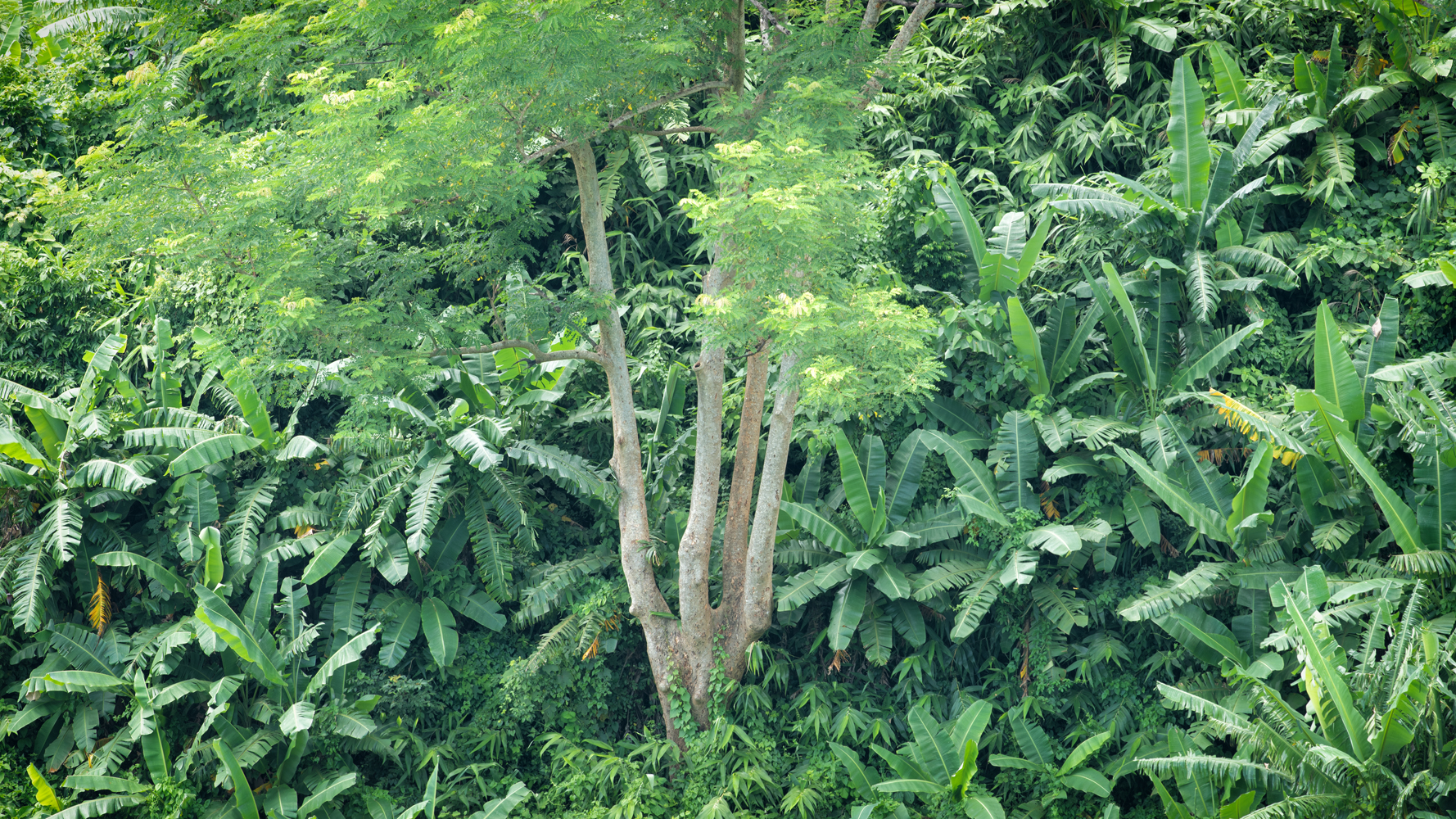 04  20190920_1212_JUN_0843_1700pix