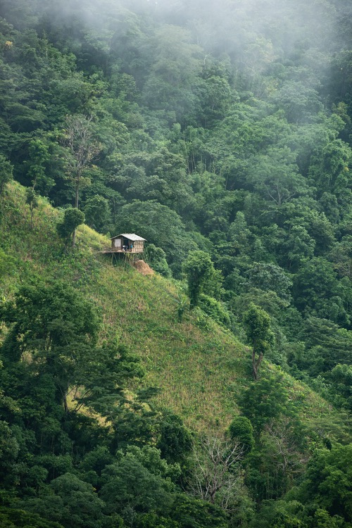 10  20190921_1156_JUN_1152_1500pix