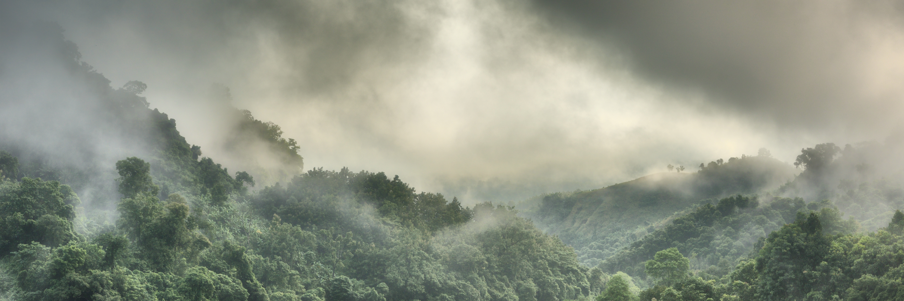 12  20190920_0658_JUN_0724_3000pix2