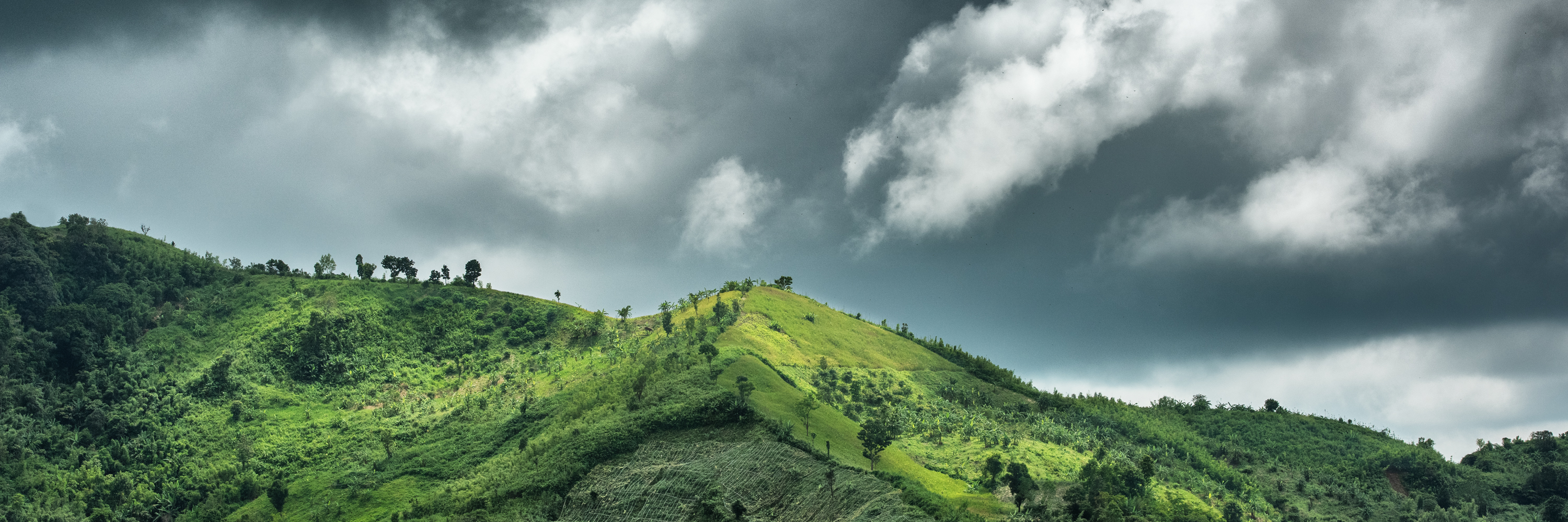 14  20190920_1249_JUN_0867_3000pix2