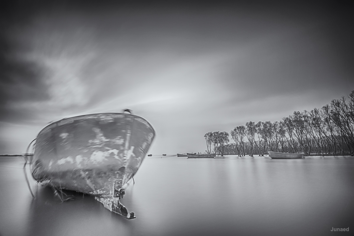 20180407_1735_JUN_3899_1200pix M1 RT