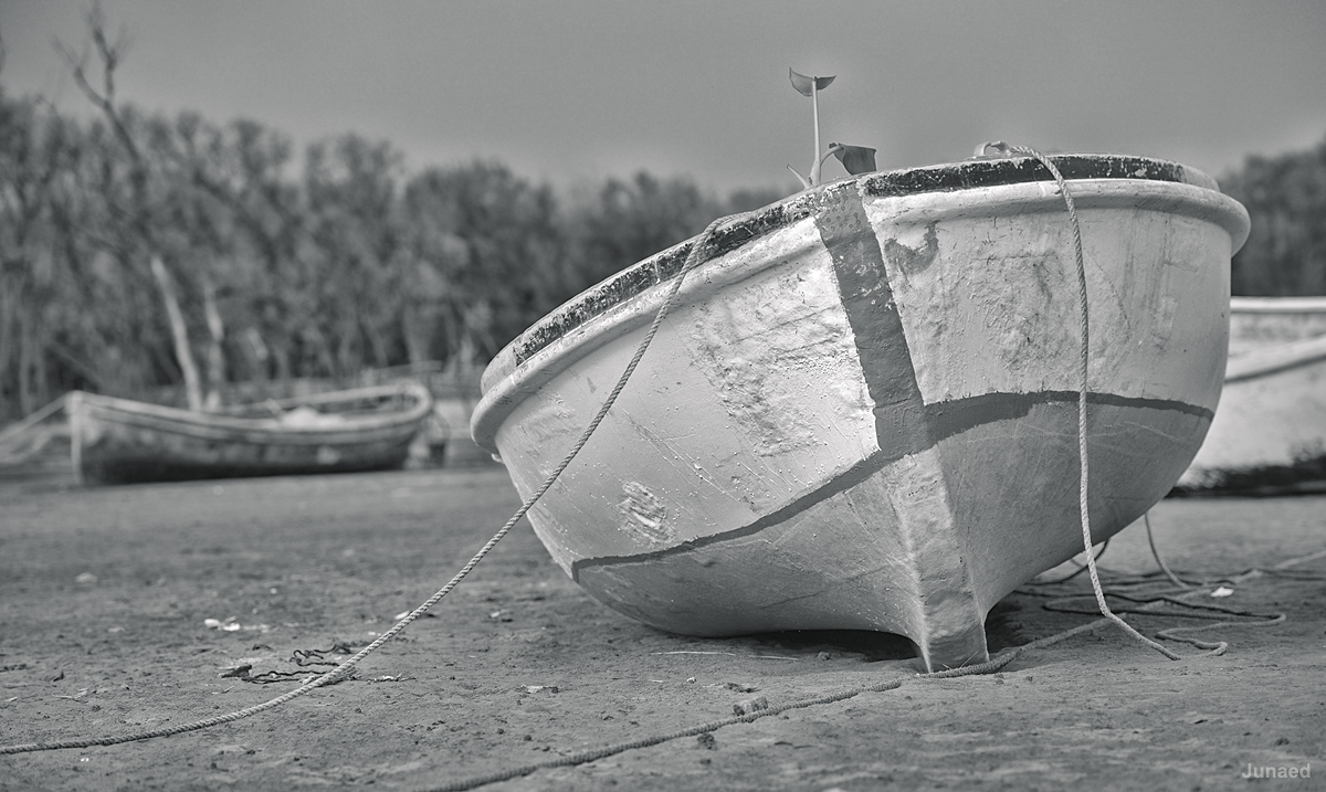 20180424_1622_JUN_4023_1200pixRT