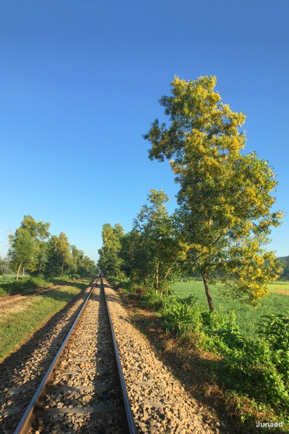 20181102_0712_IMG_8999-2_1200pix_RT