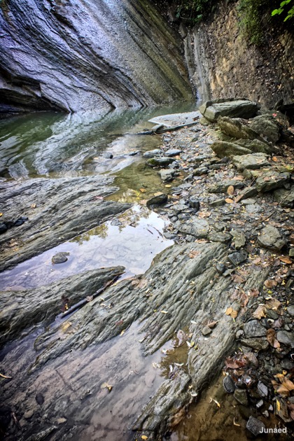 20181102_0819_IMG_9057-2_1200pix_RT