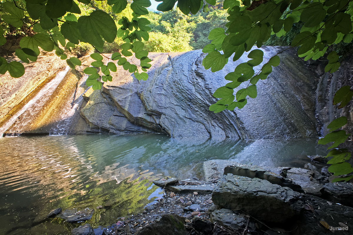 20181102_0904_IMG_9075-2_1200pix_RT