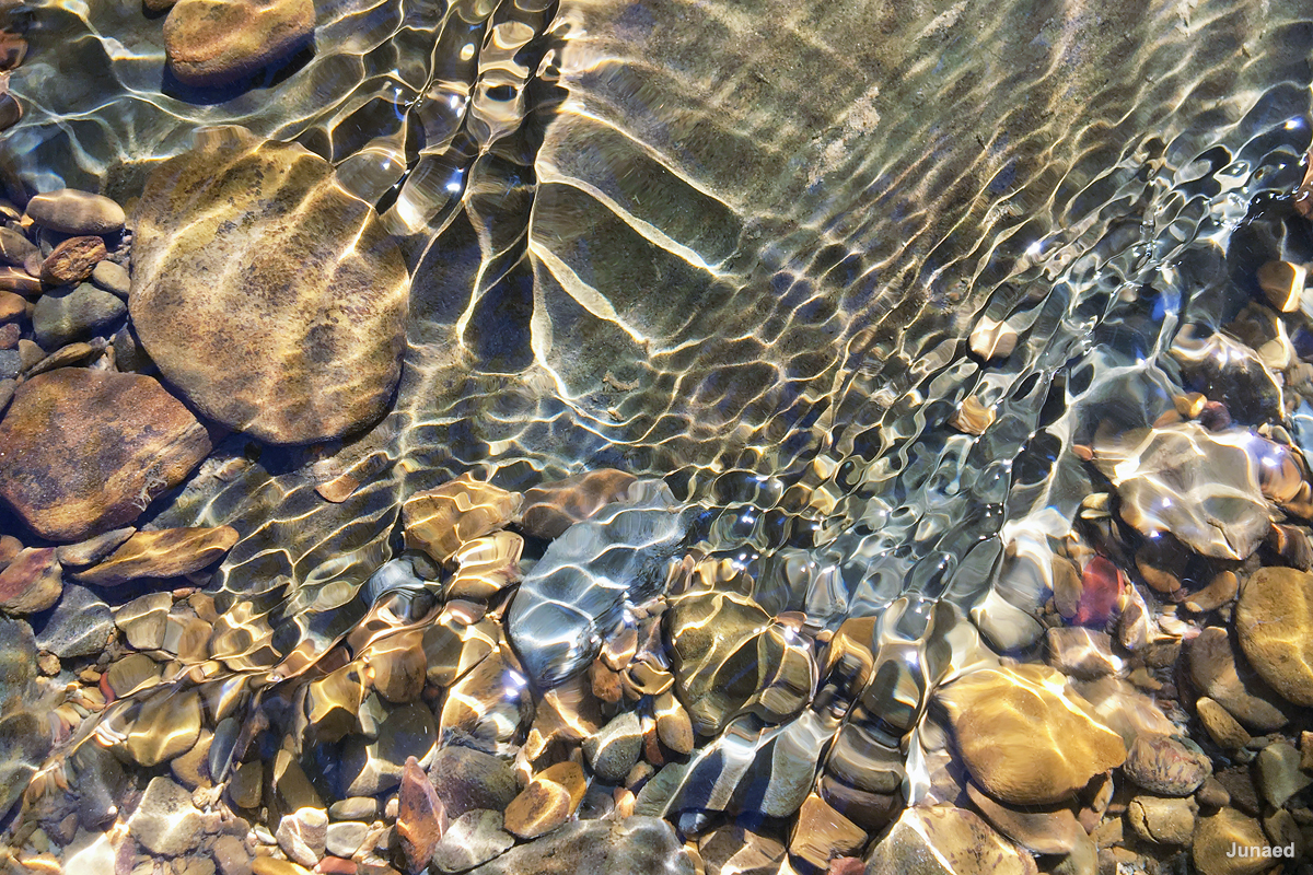 20181102_0939_IMG_9316-2_1200pix_RT