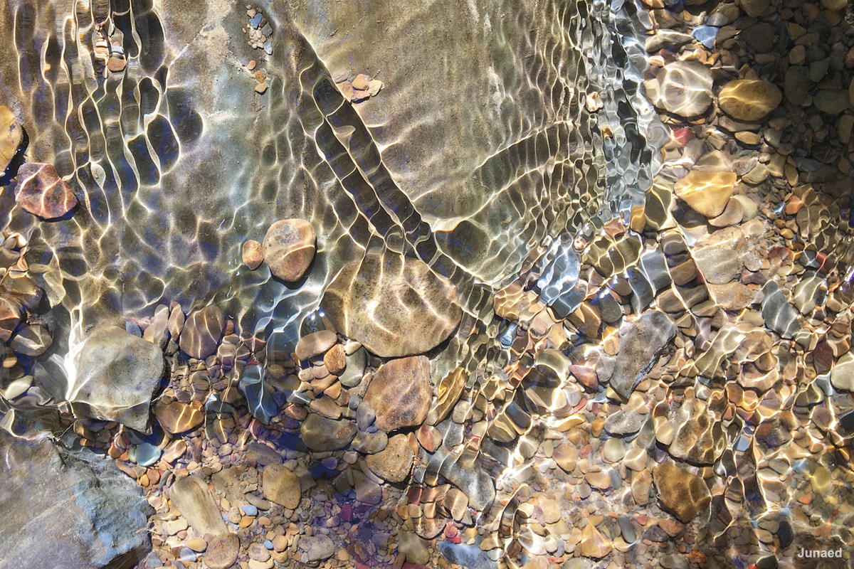 20181102_0940_IMG_9338-3_1200pix_RT