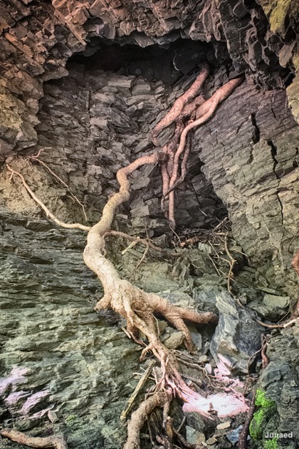 20181102_1208_IMG_9403-4_1200pix_RT