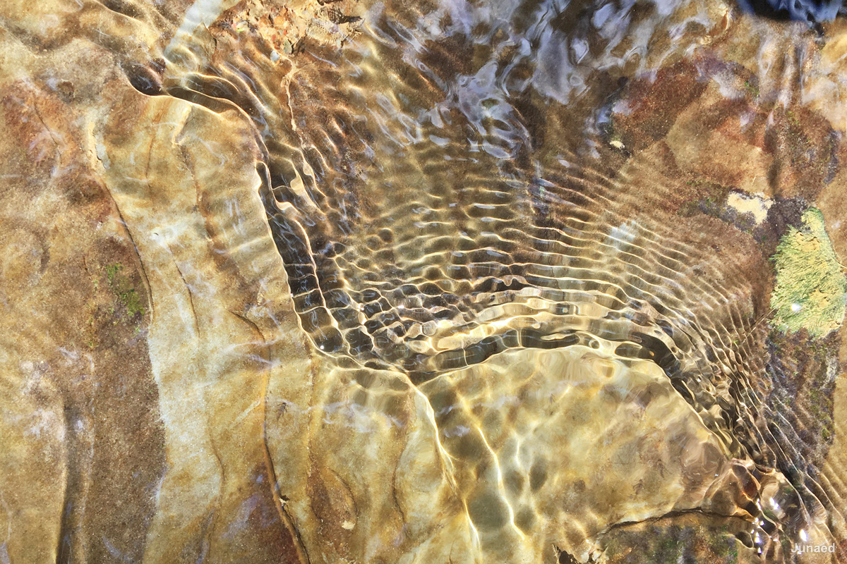 20181102_1222_IMG_9435-2_1200pix_RT