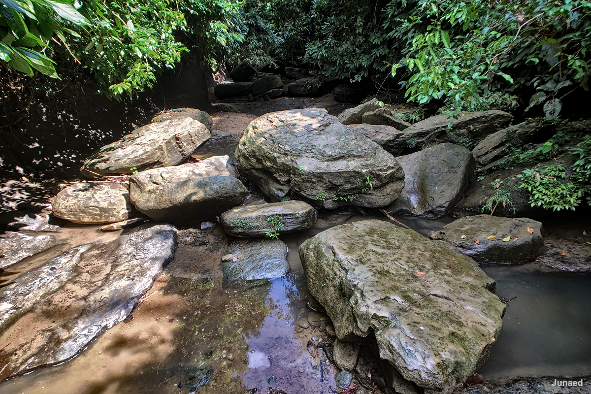 20181102_1227_IMG_9440-2_1200pix_RT