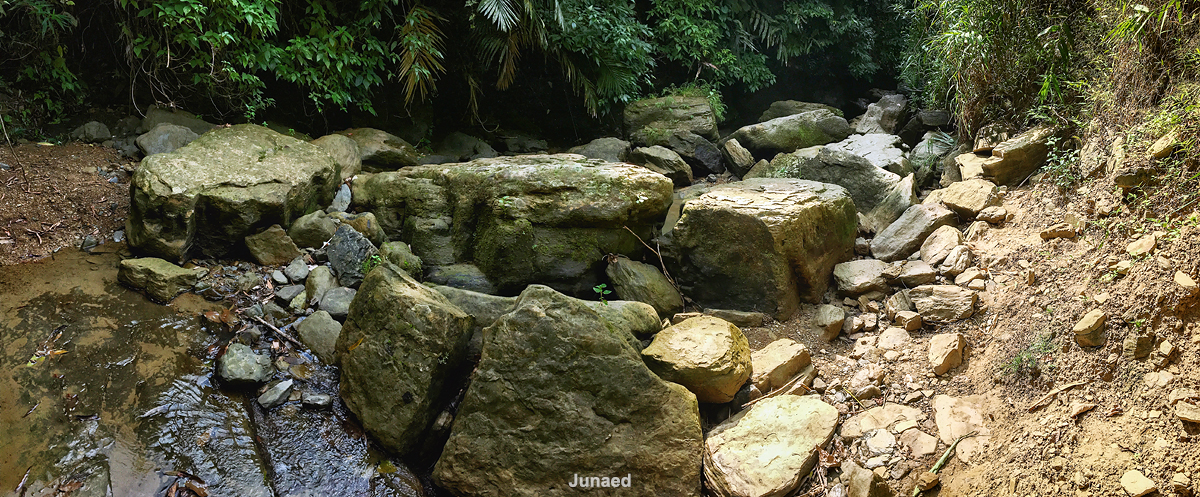 20181102_1316_IMG_9477-2_1200pix_RT