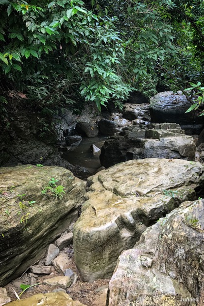 20181102_1316_IMG_9479-2_1200pix_RT