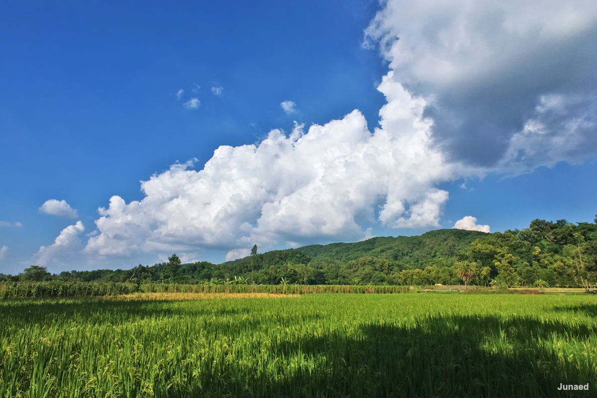 20181102_1448_IMG_9501-2_1200pix_RT