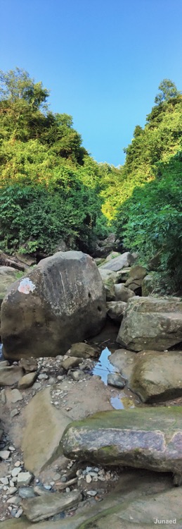 20181102_1603_IMG_9534-2_1200pix_RT