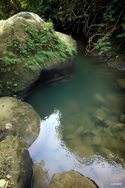 20181102_1606_IMG_9538-2_1200pix_RT