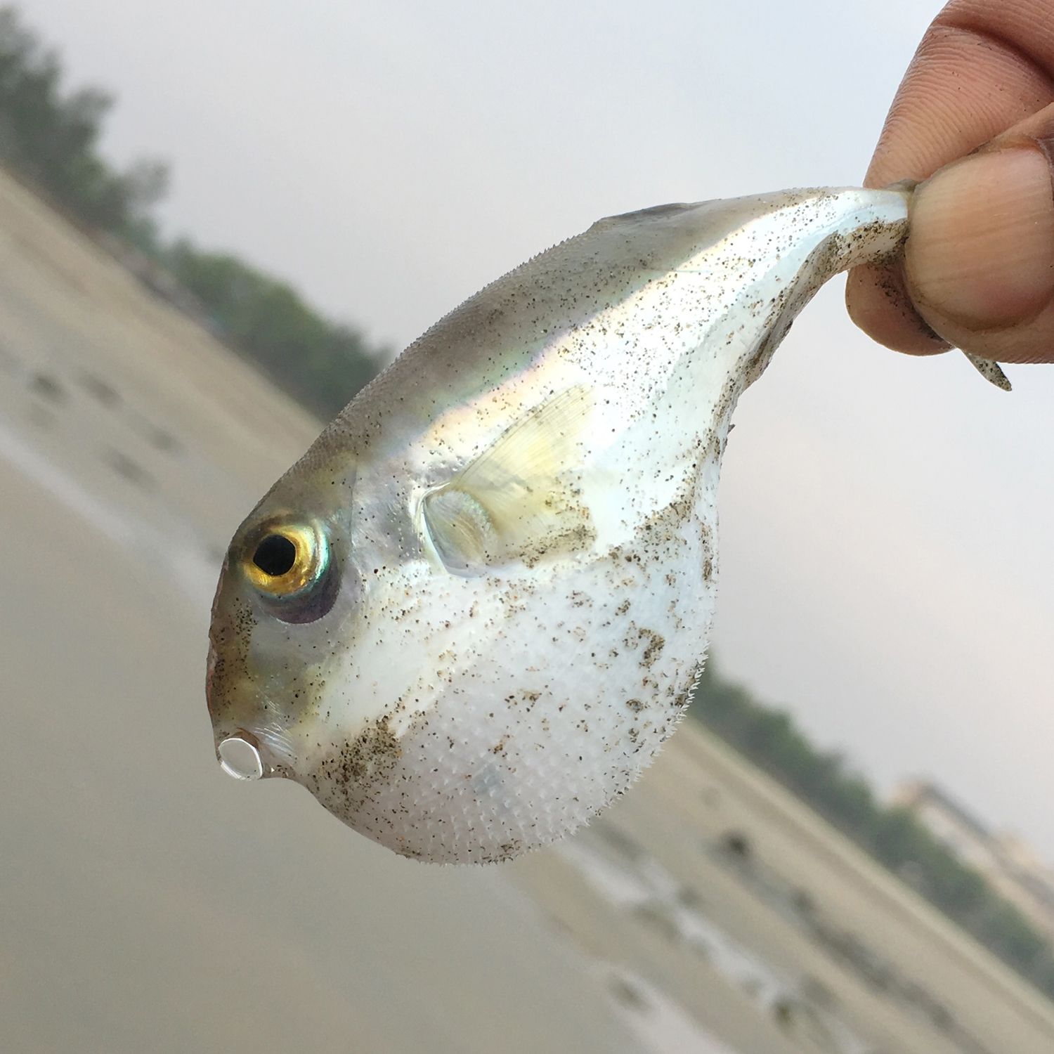 20200207_1312_IMG_E9729