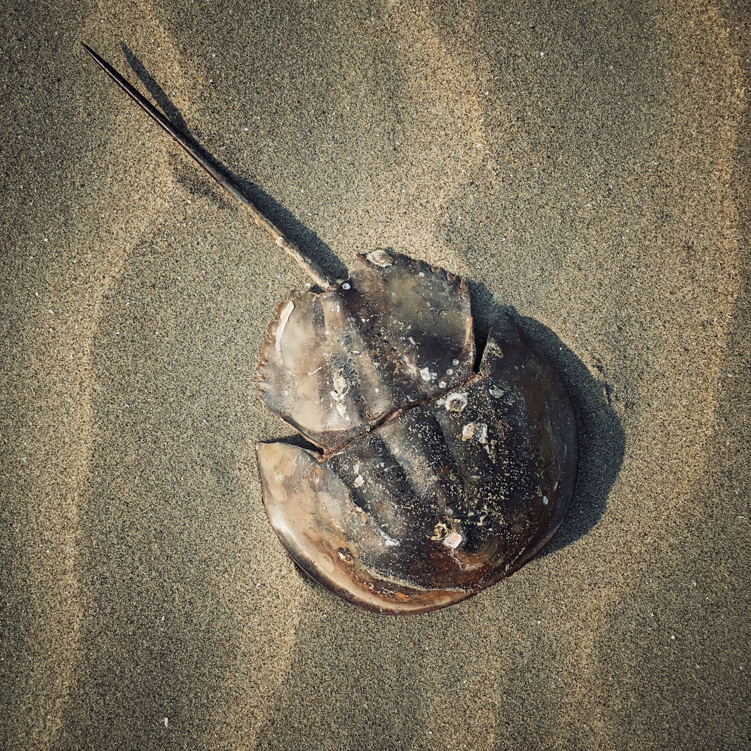 20200208_0923_IMG_E9896