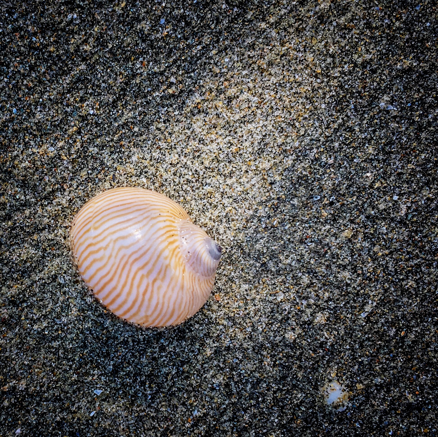 20200208_0926_IMG_E9905