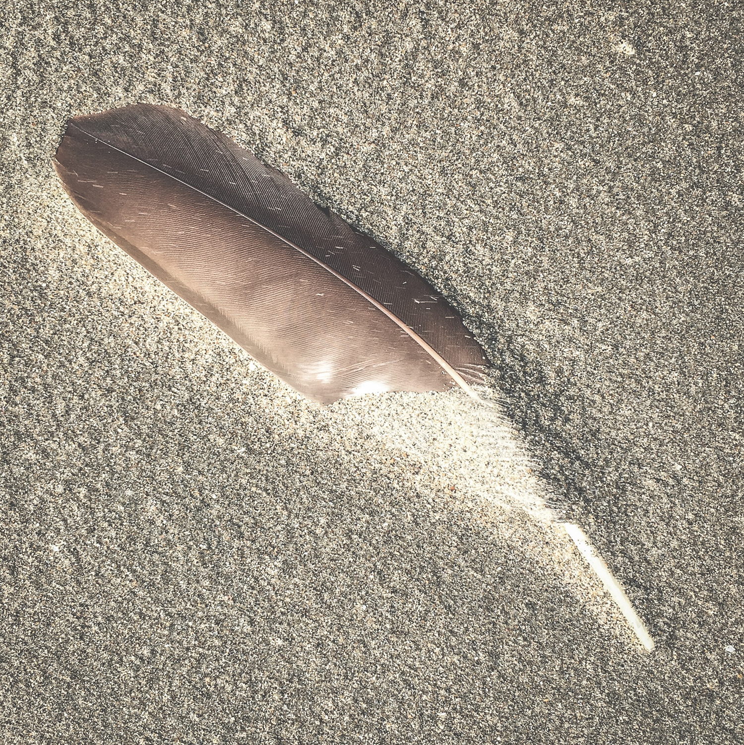 20200208_0940_IMG_E9909