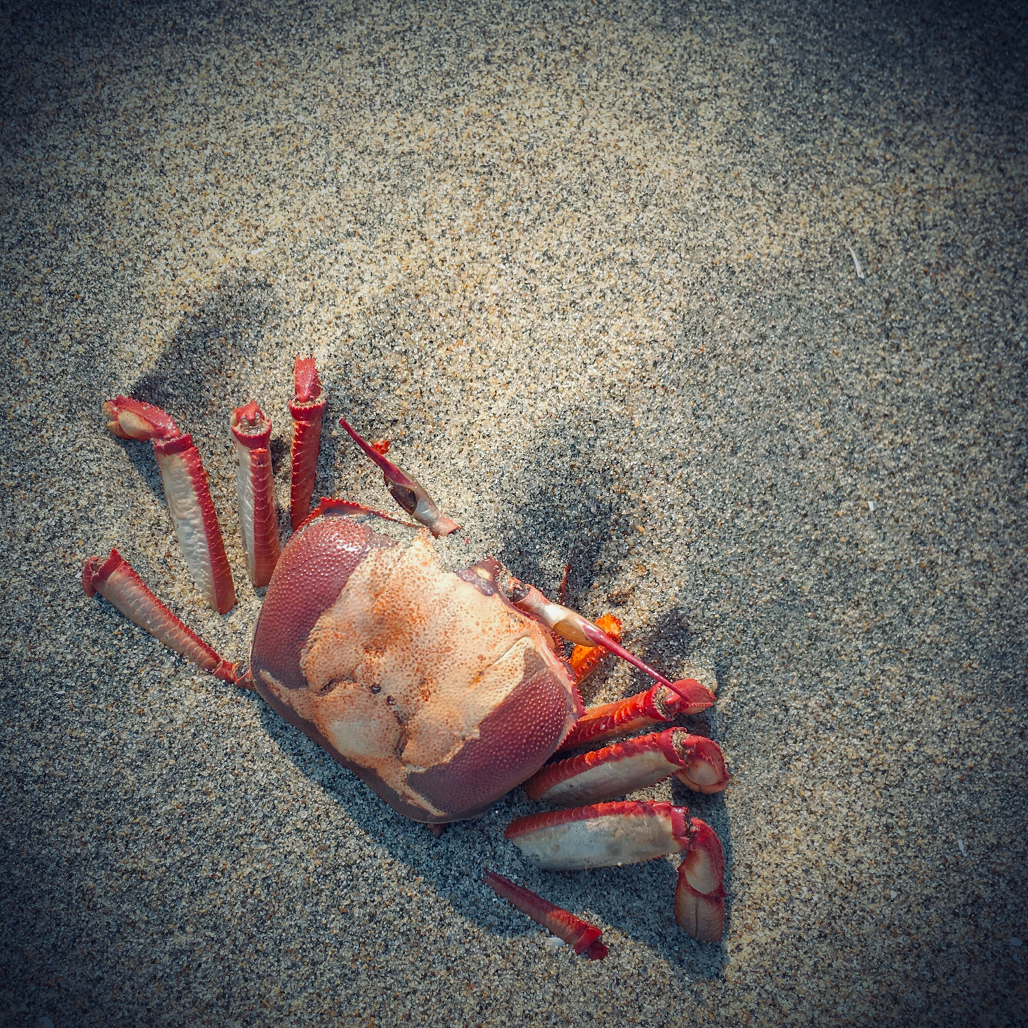 20200208_0945_IMG_E9914