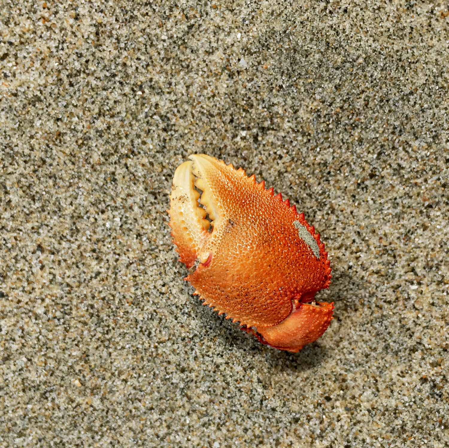 20200208_1155_IMG_E9931