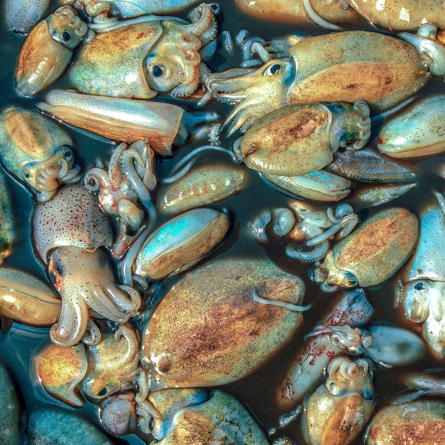 20200208_1338_IMG_E1279