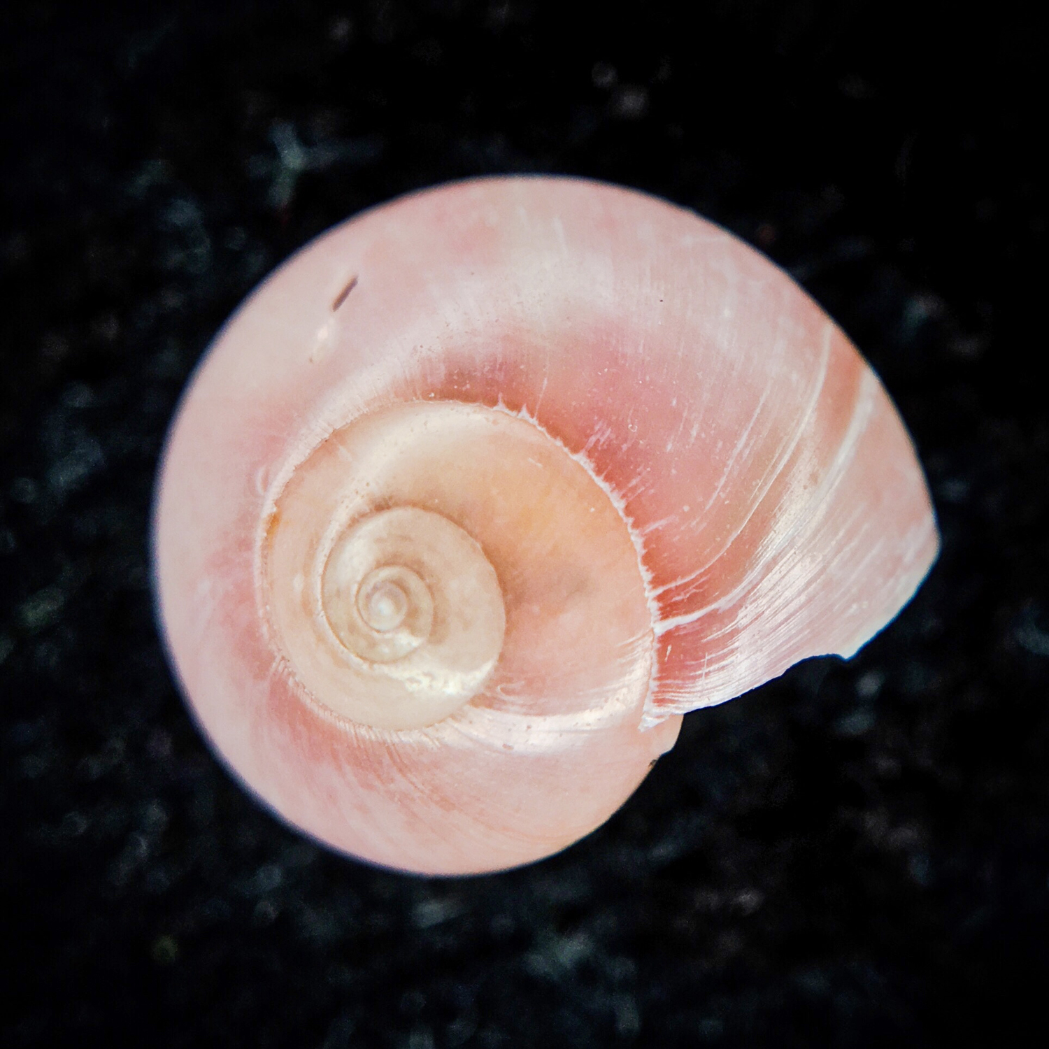 20200210_2308_IMG_E1355