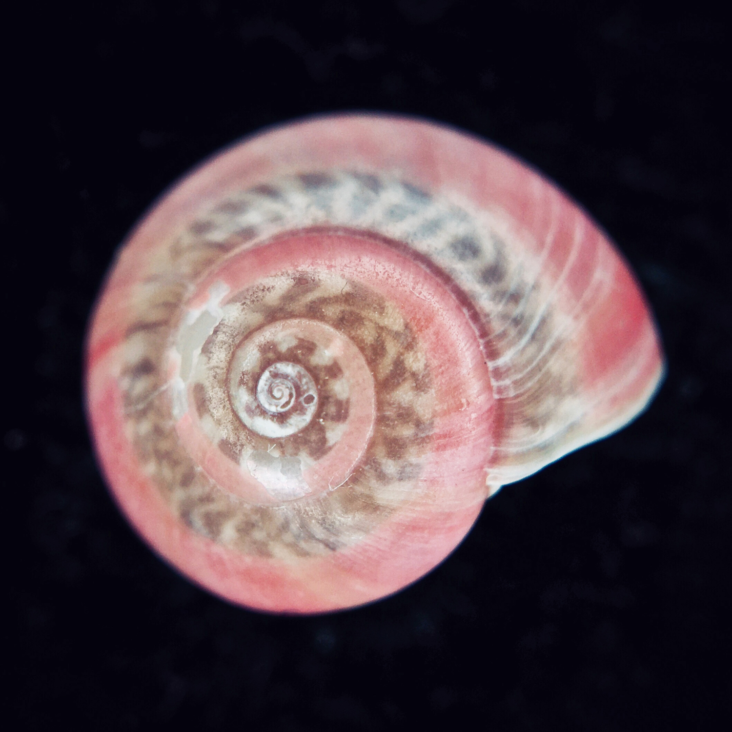 20200210_2309_IMG_E1360