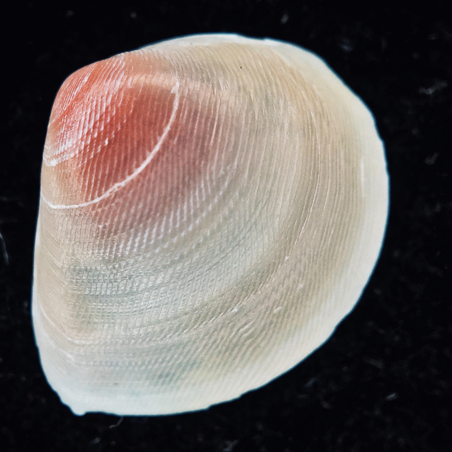 20200210_2310_IMG_E1364