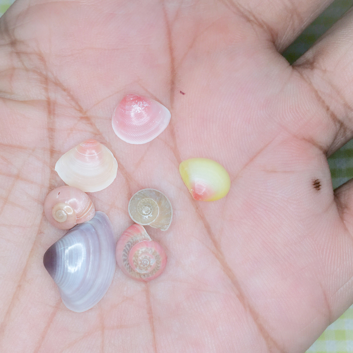 20200210_2341_IMG_E0022