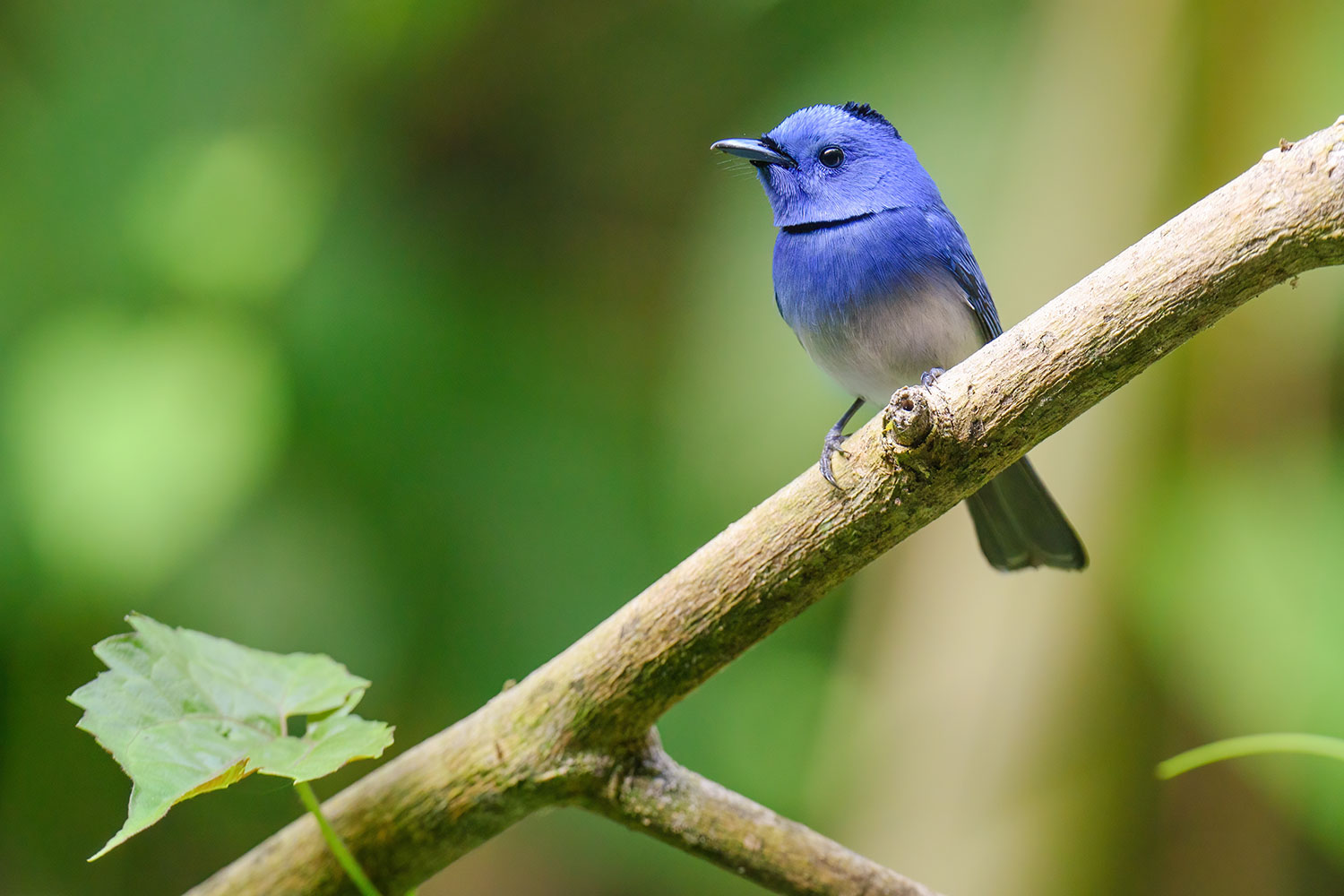 20221230_1506_JUN_5613_2_3000pix