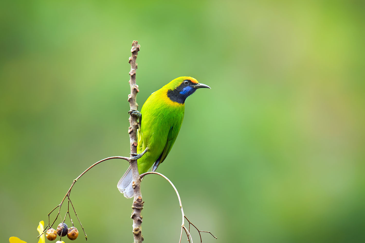 20231222_0921_JUN_9425_3